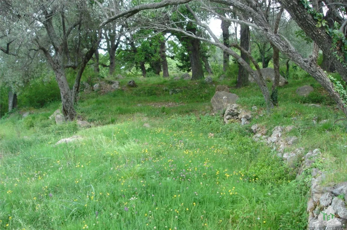 Teren de vanzare in Kotor Muntenegru - foto 6