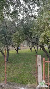Teren de vanzare in Budva Muntenegru - foto 2