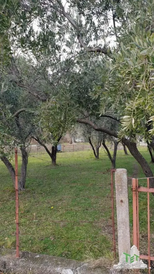 Teren de vanzare in Budva Muntenegru - foto 2