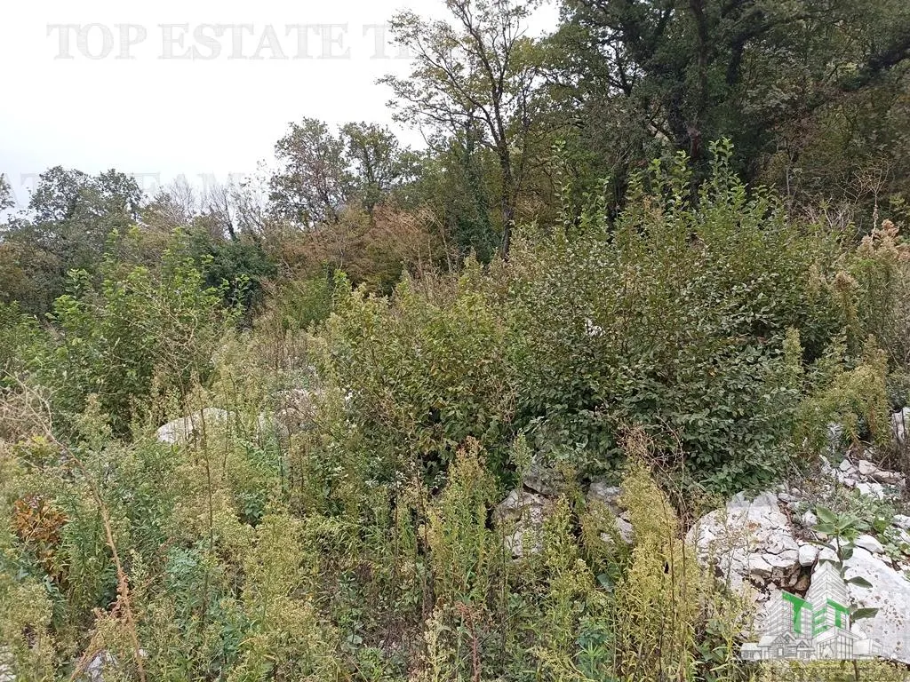 Teren de vanzare in Budva Muntenegru - foto 4