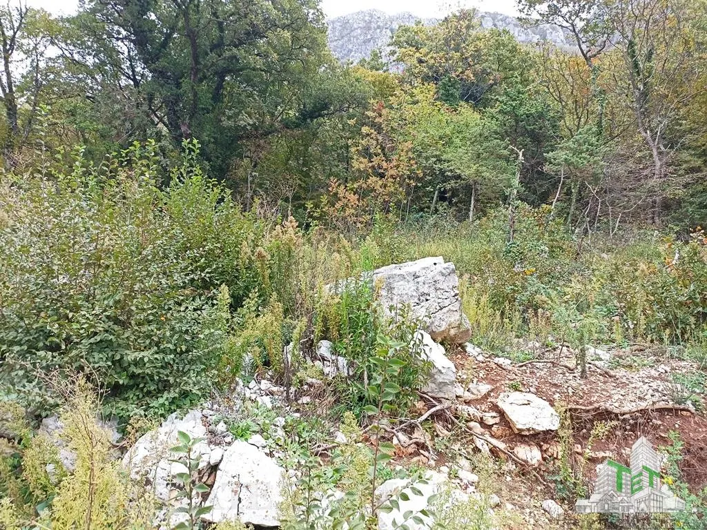 Teren de vanzare in Budva Muntenegru - foto 5