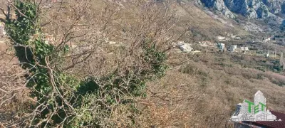 Teren de vanzare in Budva Muntenegru - foto 9