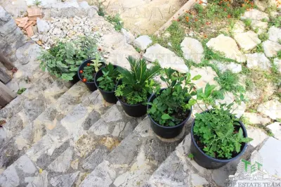 Casa de vanzare in Herceg-Novi Muntenegru - foto 11
