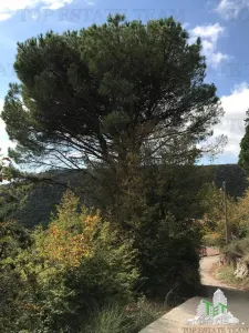 Building Plot for Sale in Budva, Montenegro - foto 6