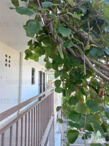 Apartament de vanzare in Kotor Muntenegru - Stoliv