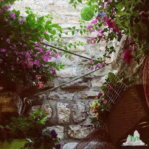 Spatiu comercial de vanzare in Budva Muntenegru - foto 2