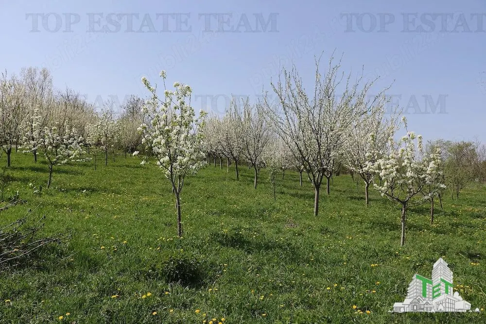 Development Land 3,481 sqm, Loamnes, Sibiu – Mains Services - foto 3