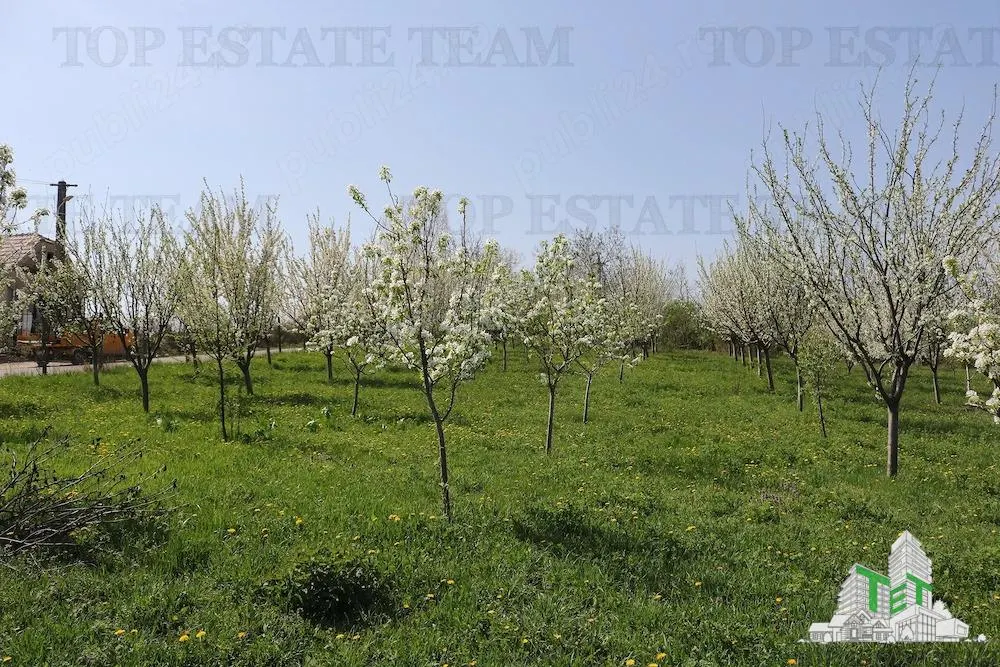 Development Land 3,481 sqm, Loamnes, Sibiu – Mains Services - foto 4