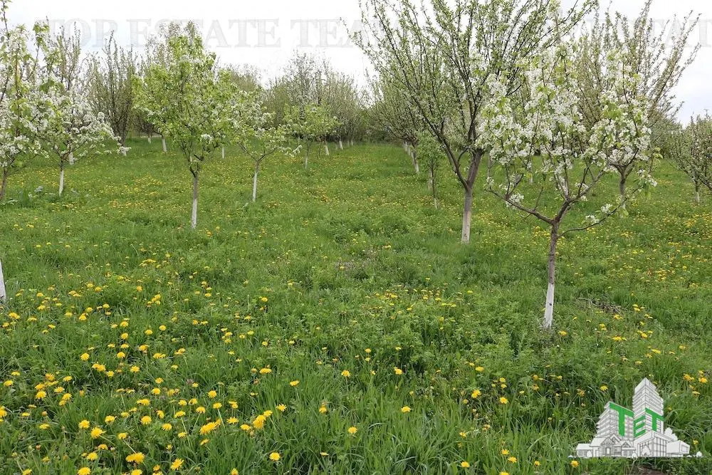 Development Land 3,481 sqm, Loamnes, Sibiu – Mains Services - foto 7