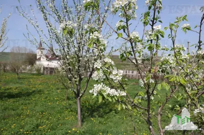 Development Land 3,481 sqm, Loamnes, Sibiu – Mains Services - foto 8