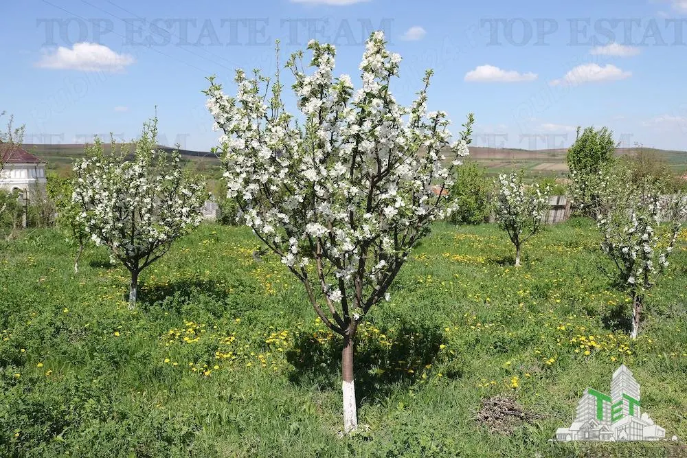 Development Land 3,481 sqm, Loamnes, Sibiu – Mains Services - foto 10