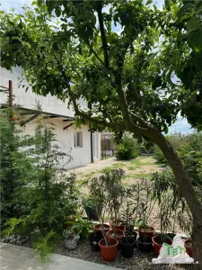 10-Bedroom Villa/Guesthouse, 23 August – Exceptional Opportunity - foto 3