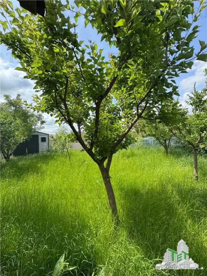 10-Bedroom Villa/Guesthouse, 23 August – Exceptional Opportunity - foto 9