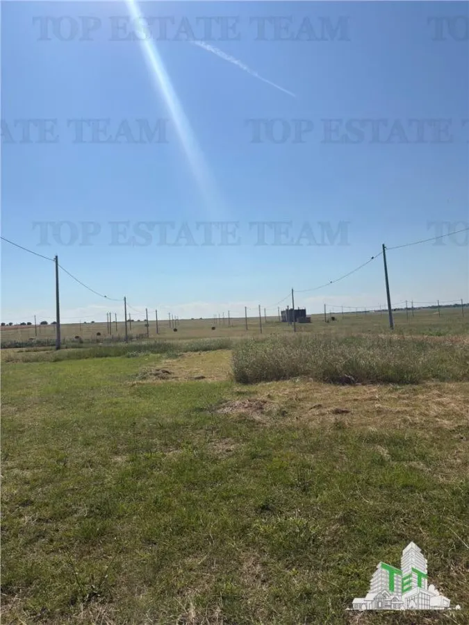 1,000 m² Buildable Land in 23 August, Dulcesti with Guesthouse Project - foto 6