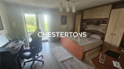 Vila regie proprie 4 camere zona linistita Dragomiresti-Vale - foto 3
