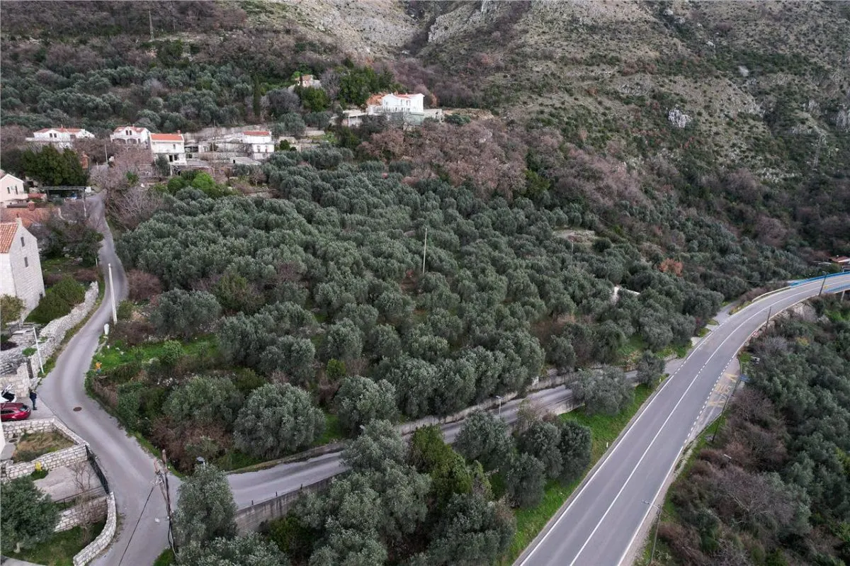 Land for Sale in Budva - foto 9