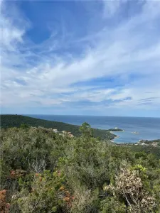 Apartment for Sale in Budva - Becici