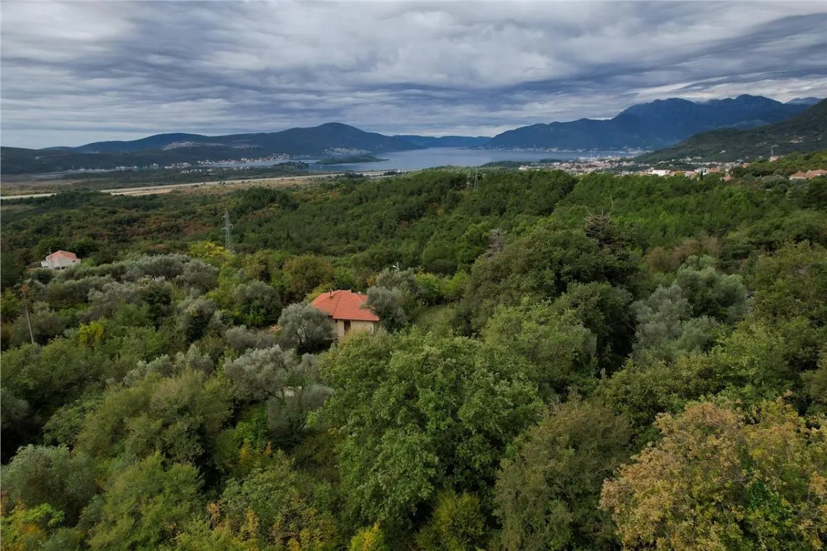Land for Sale in Kotor - foto 1
