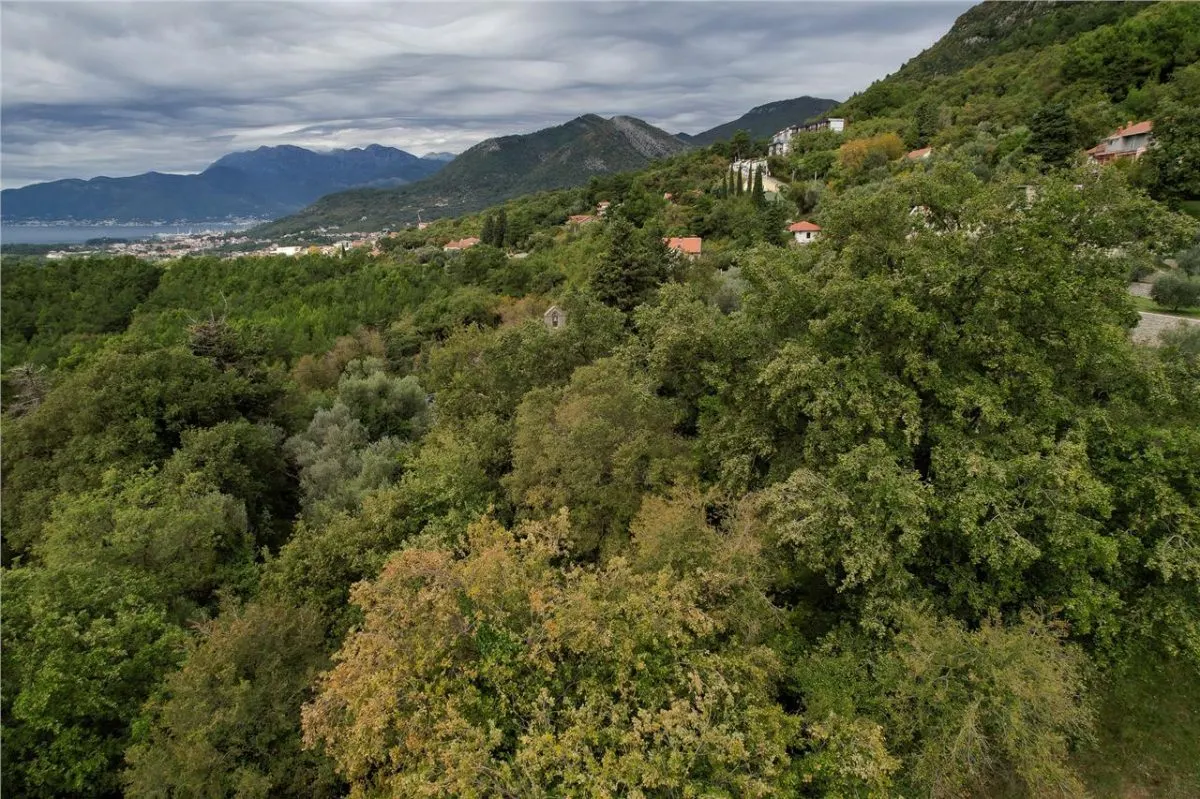 Land for Sale in Kotor - foto 2