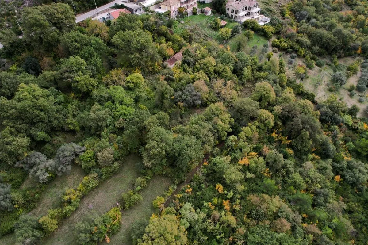 Land for Sale in Kotor - foto 14