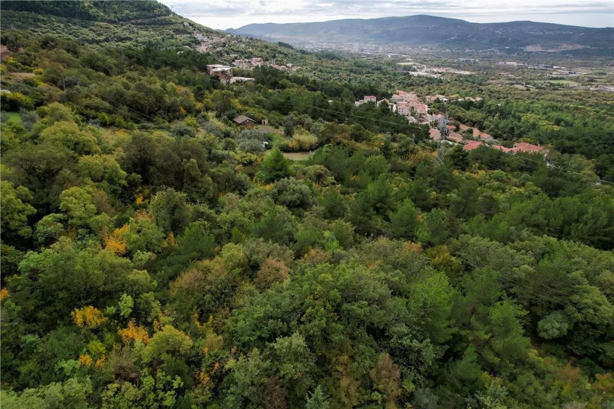 Land for Sale in Kotor - foto 5