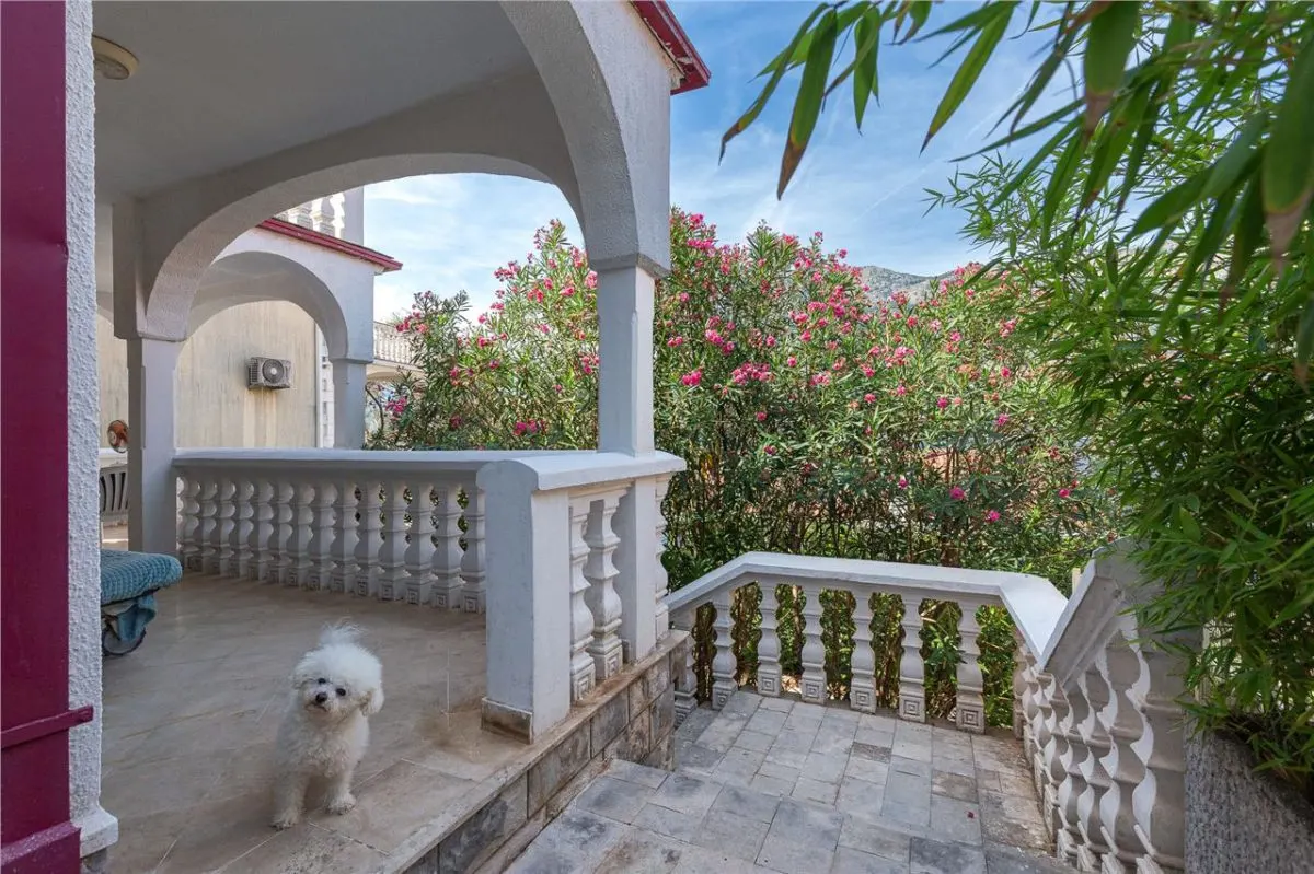 House for Sale in Kotor - foto 11