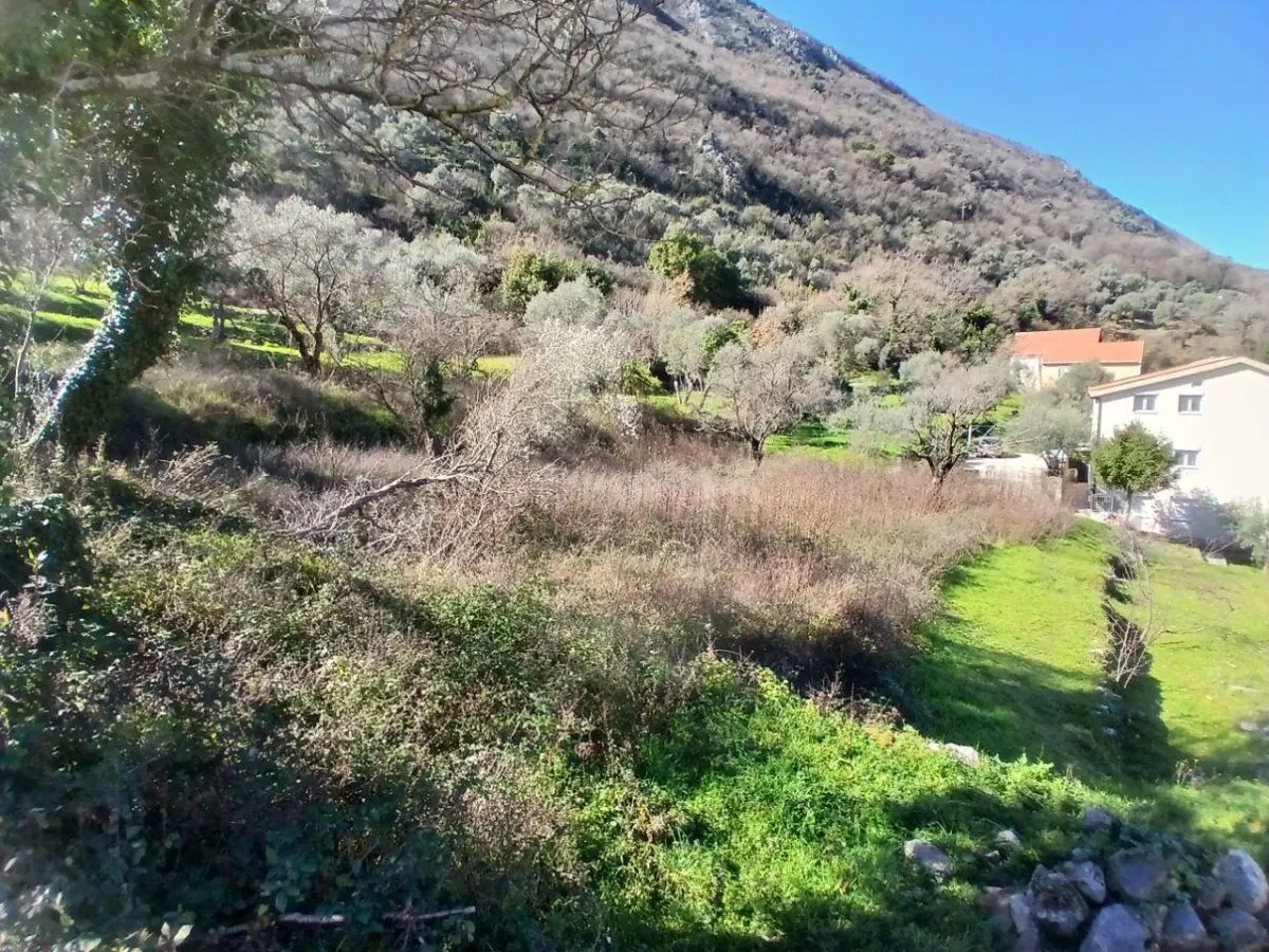Land for Sale in Kotor - foto 1