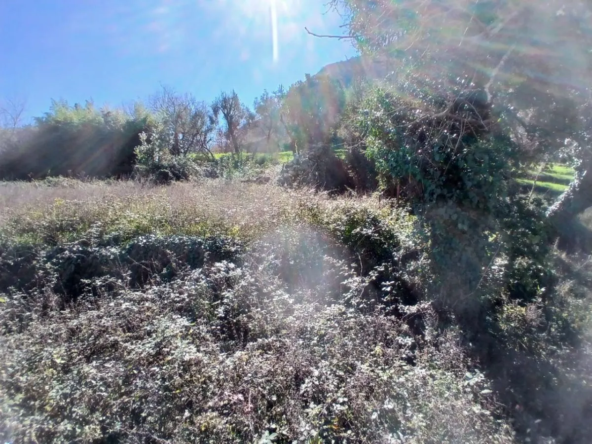 Land for Sale in Kotor - foto 2