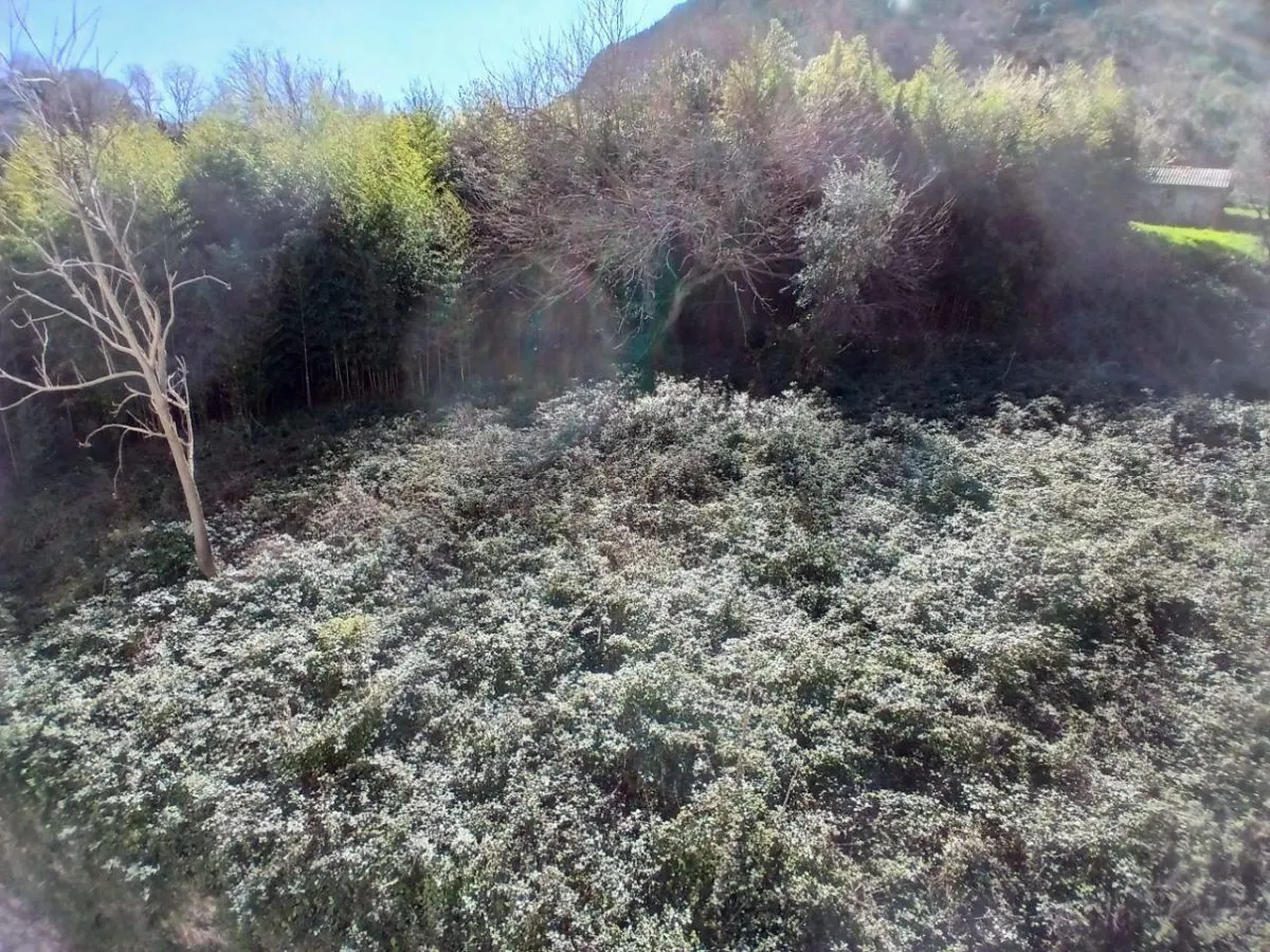 Land for Sale in Kotor - foto 5