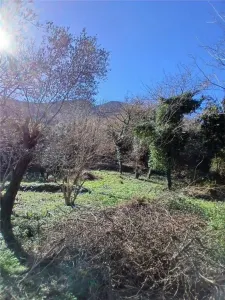 Land for Sale in Kotor - foto 4