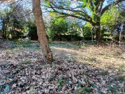 Land for Sale in Kotor - foto 5