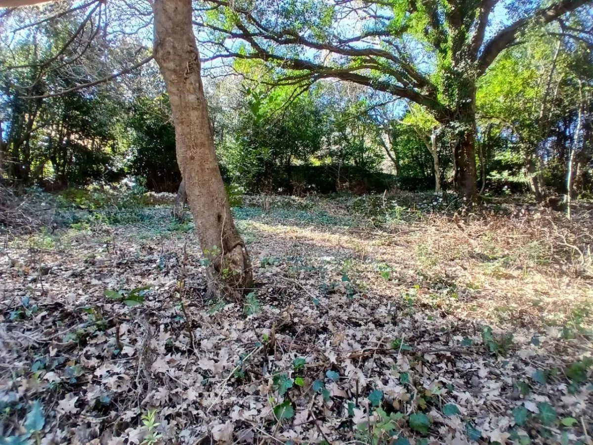 Land for Sale in Kotor - foto 5