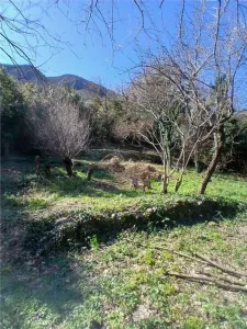 Land for Sale in Kotor - foto 6