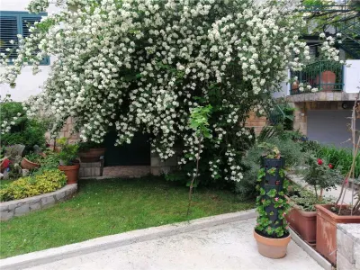 Maison à Vendre à Budva - foto 15