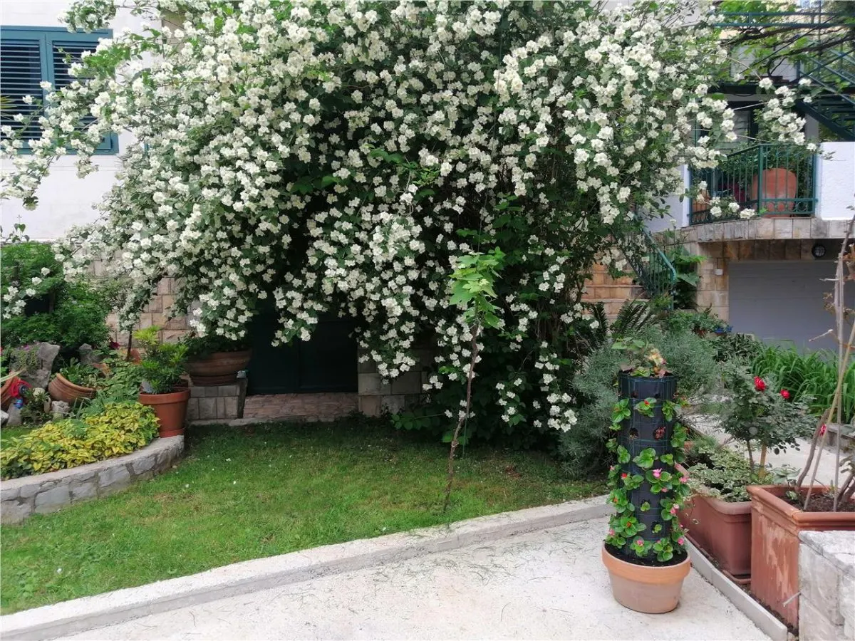 Maison à Vendre à Budva - foto 15