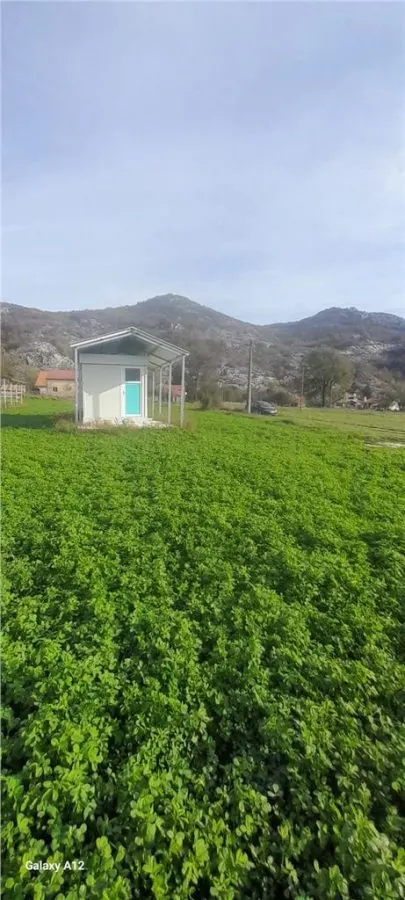 Land for Sale in Montenegro - foto 1