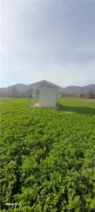 Land for Sale in Montenegro - foto 4