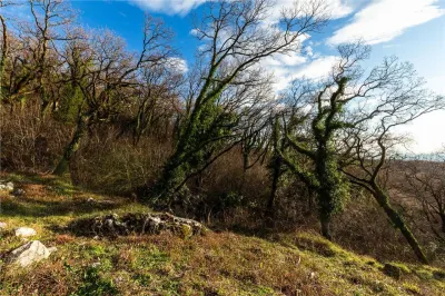 Land for Sale in Budva - foto 6