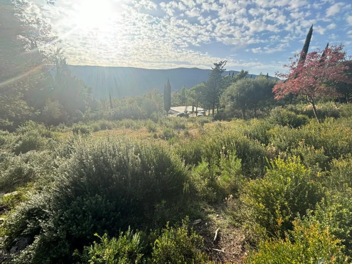 Land for Sale in Herceg-Novi - foto 13