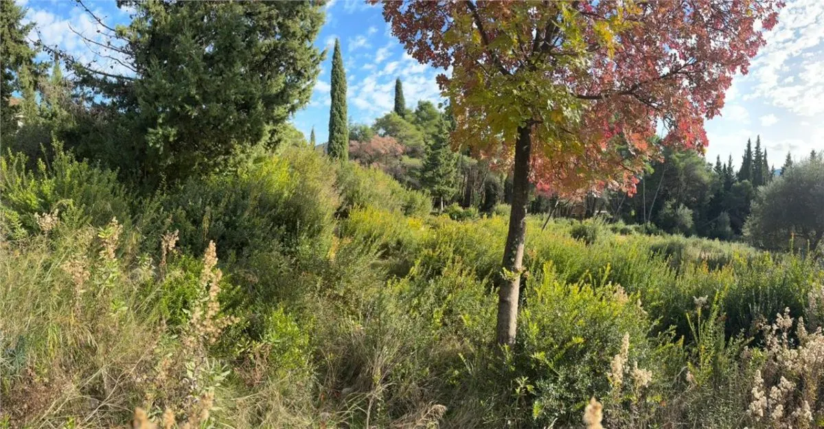 Land for Sale in Herceg-Novi - foto 17