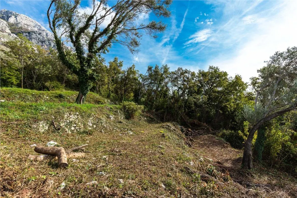 Land for Sale in Budva - foto 1