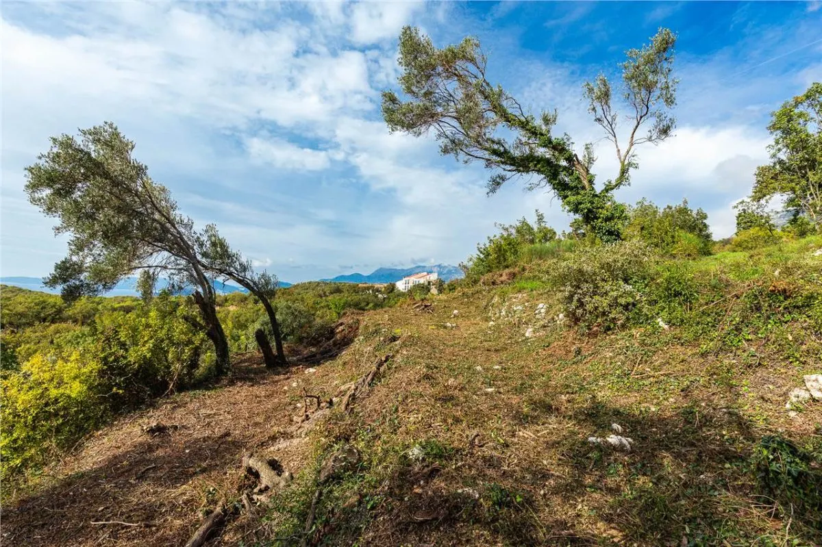Land for Sale in Budva - foto 5