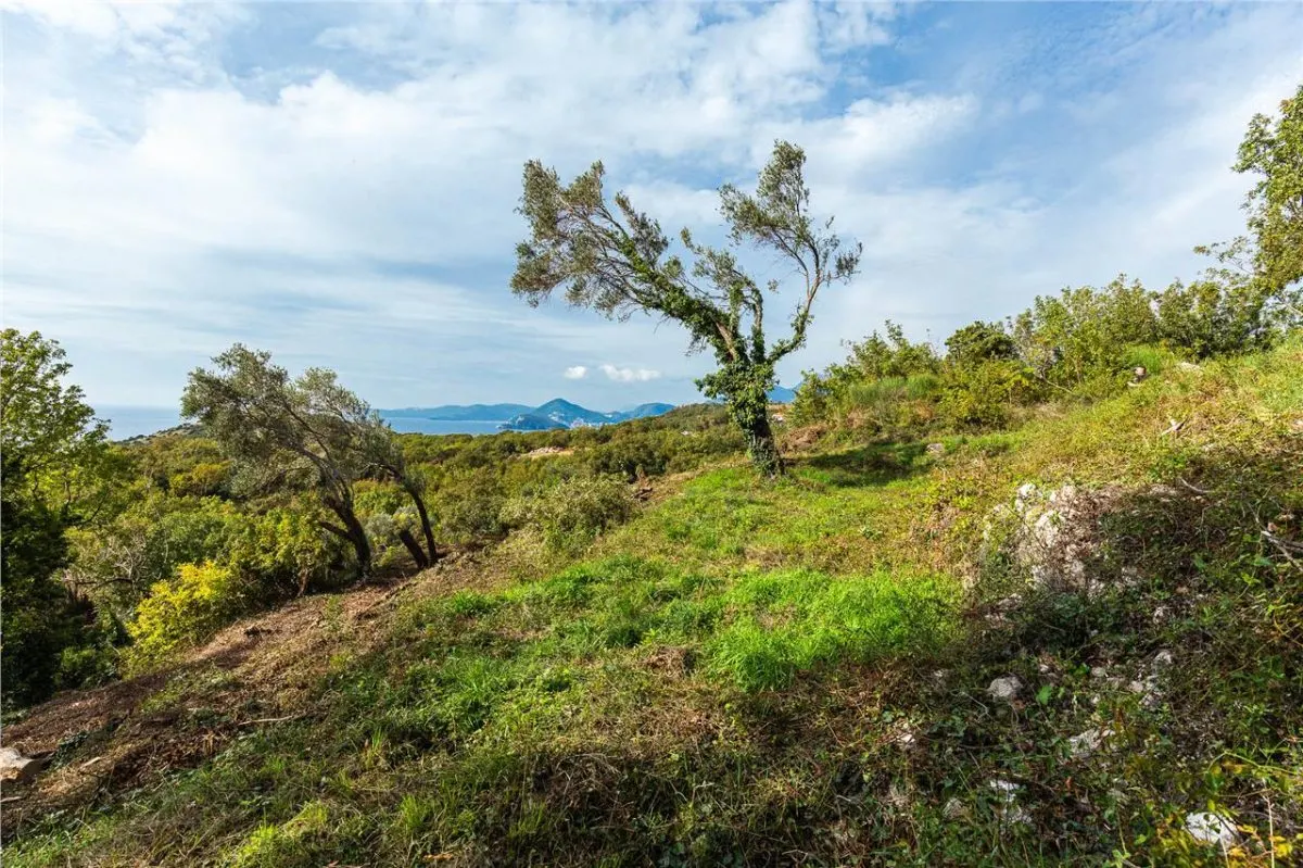Land for Sale in Budva - foto 6