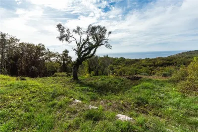 Land for Sale in Budva - foto 10