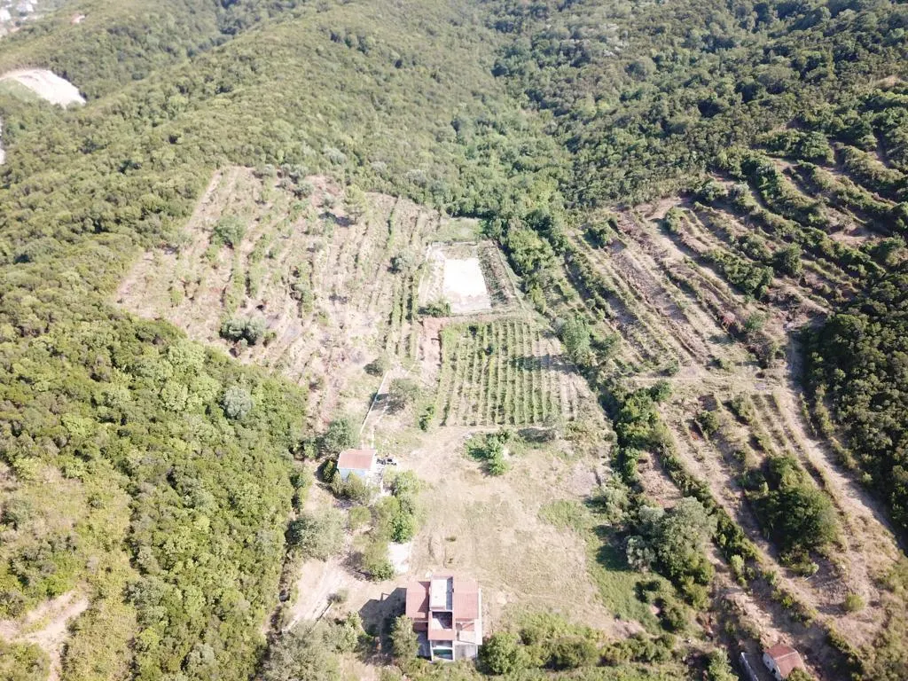 Land for Sale in Kotor - foto 2