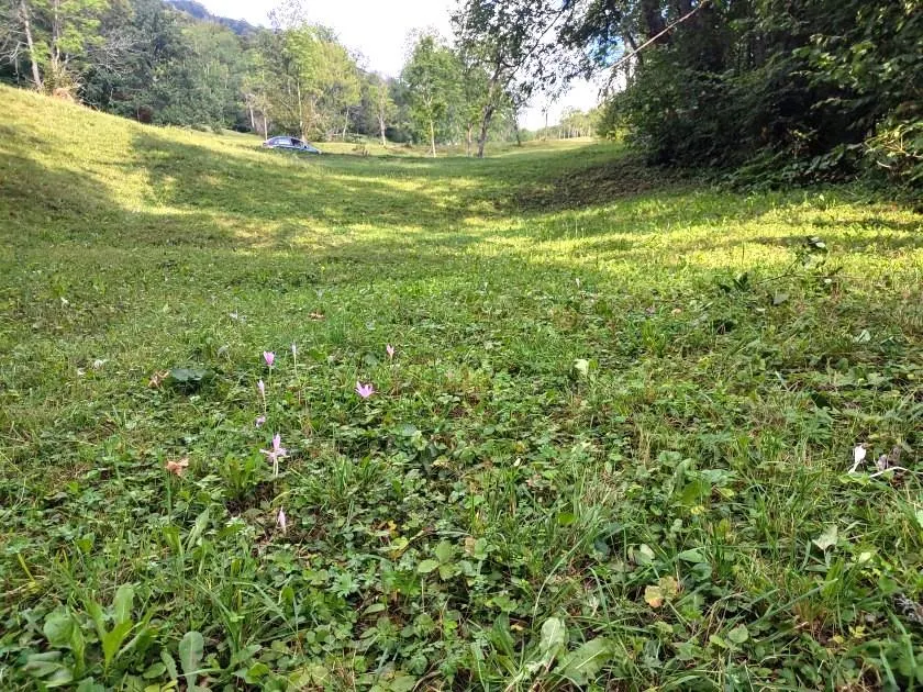 Terrain à Vendre au Monténégro - foto 3