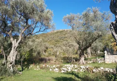 Land for Sale in Budva - Kamenovo