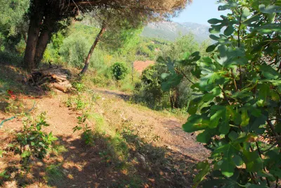 Land for Sale in Budva - foto 2