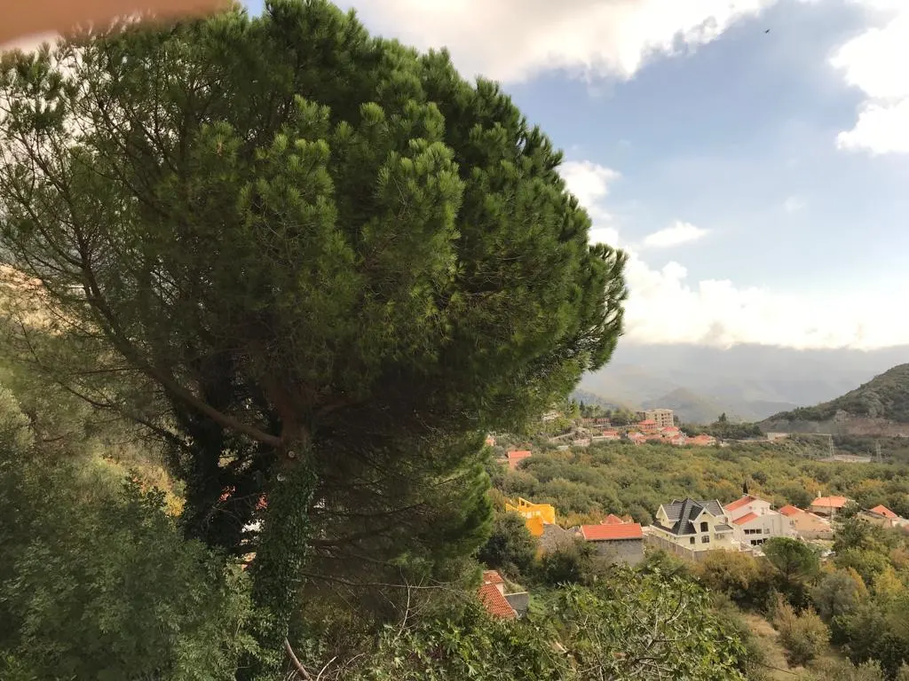 Land for Sale in Budva - foto 7