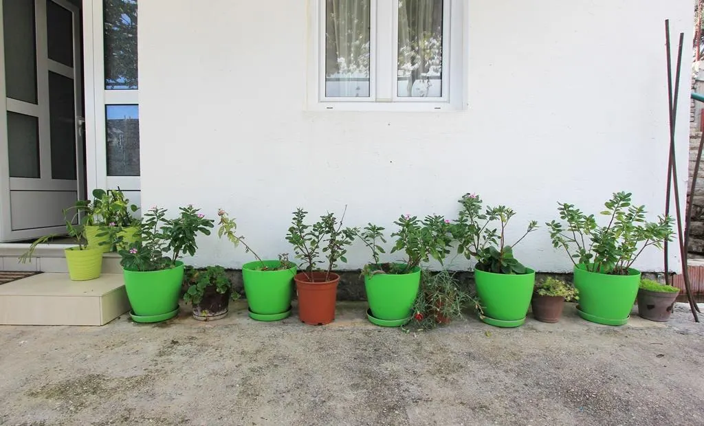 House for Sale in Herceg-Novi - foto 12